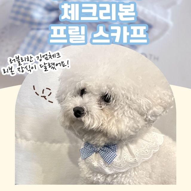 반려동물 강아지 블루 체크리본 프릴타이 스카프