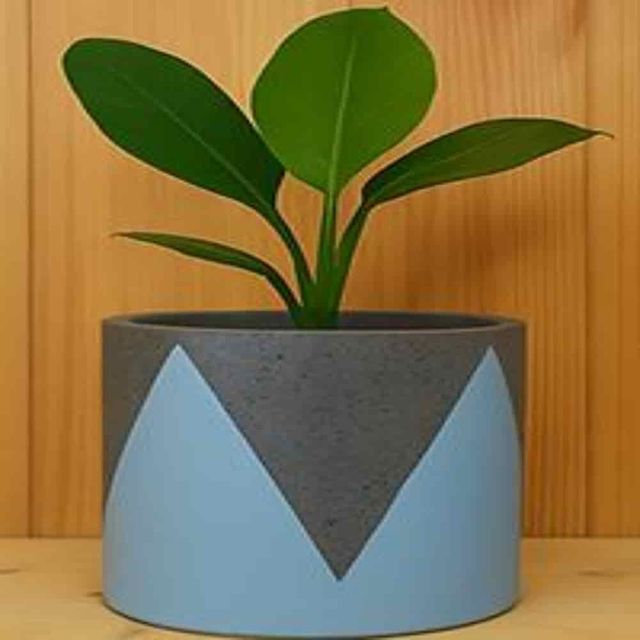 시멘트화분 크라운패턴 30x28 가정용화분 떡갈고무나무화분 예쁜화분 대형화분
