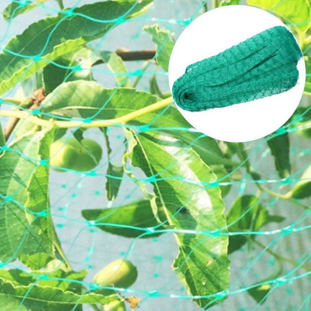 과수원조류방지그물 새그물 새망 과수원새망 조류보호망