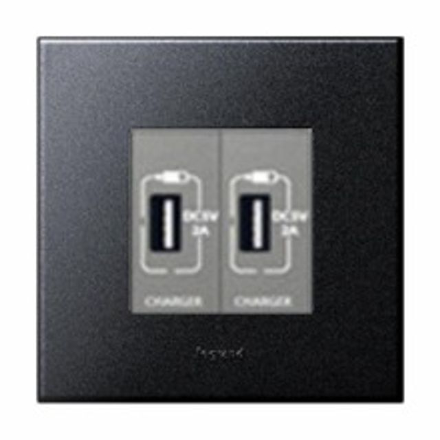 아테오 유럽형 샴그라파이트 USB 2구 (2M) 르그랑