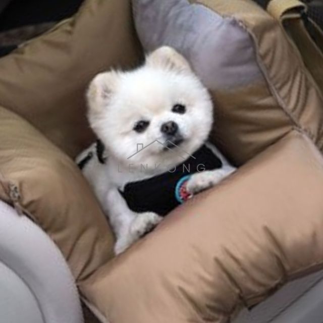 차량용강아지매트 반려견카시트 강아지카시트이동가방 베이지