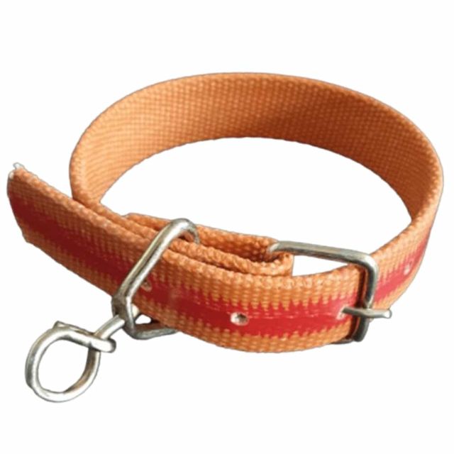 밸트 개 목줄 30mm 60cm 애완견목걸이 애완견목줄