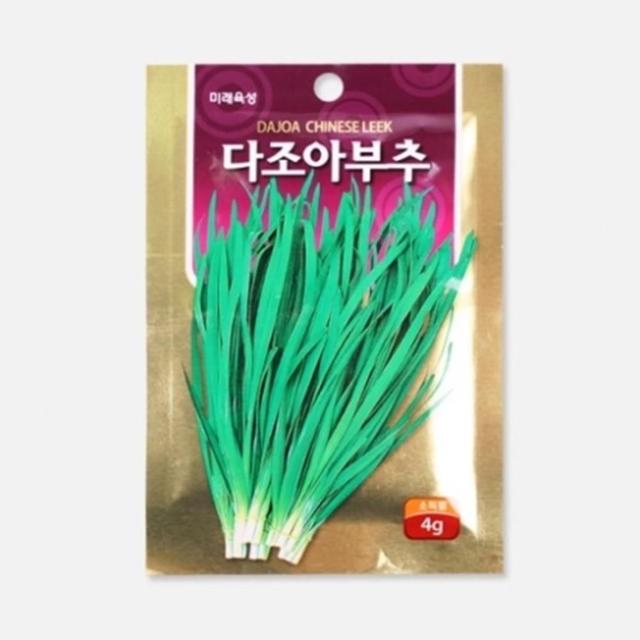 모종 텃밭 가꾸기 부추 채소 씨앗 4g 상추키우기