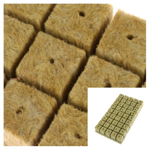 씨앗 발아 스타터 울플러그 25x25x25mm 50개 원예도구 정원도구 가드닝소품 원예소품