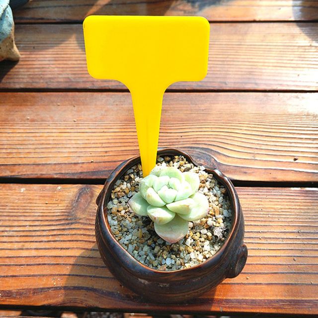 화분이름표 T자형 다육이 꽃 화단 식물 이픔료 노랑