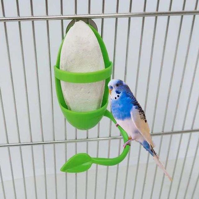 앵무새 먹이걸이