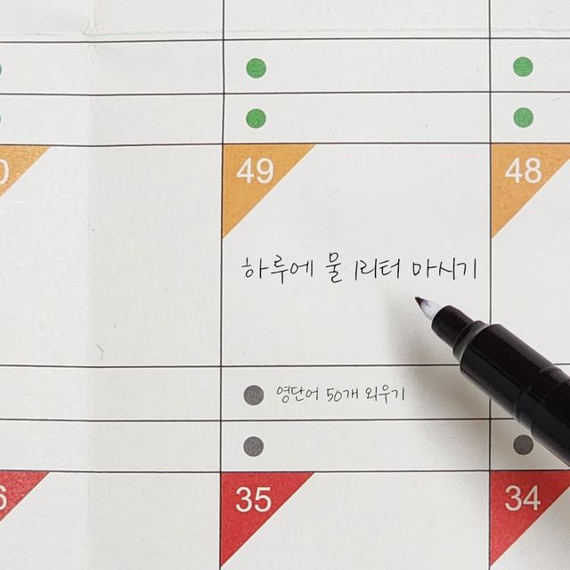 100일 디데이 플래너