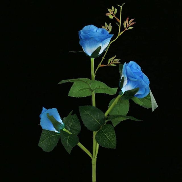 LED 태양광 꽃정원등 블루 잔디조명 실외등 경관조명 감성전구 정원태양광