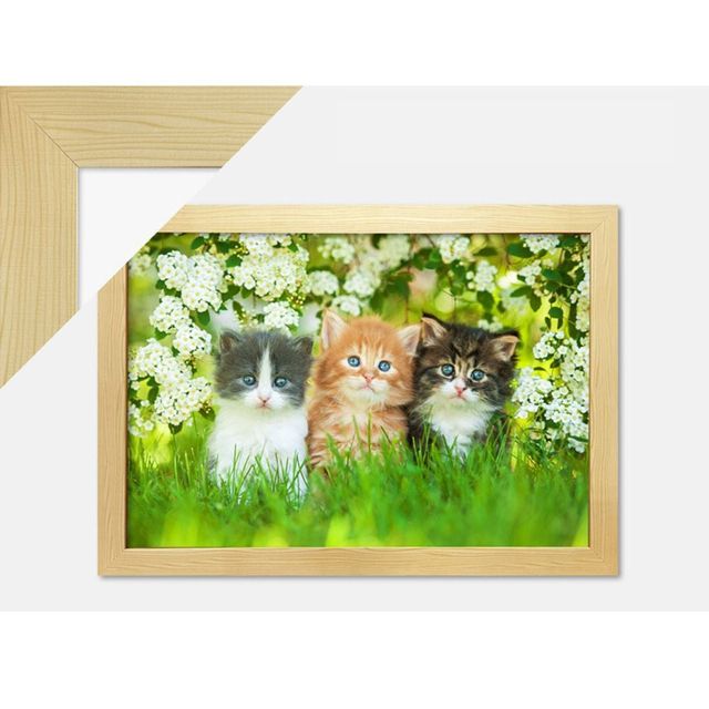 퍼즐 직소퍼즐 그림 아기고양이 디자인 액자 맞추기 아기