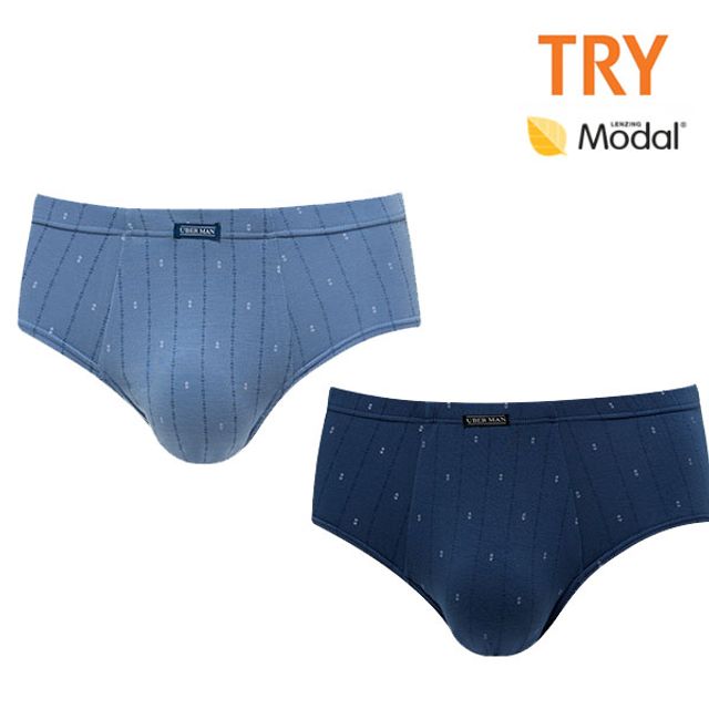 TRY 남성 삼각팬티 남자 모달 위버 브리프 2매 속옷