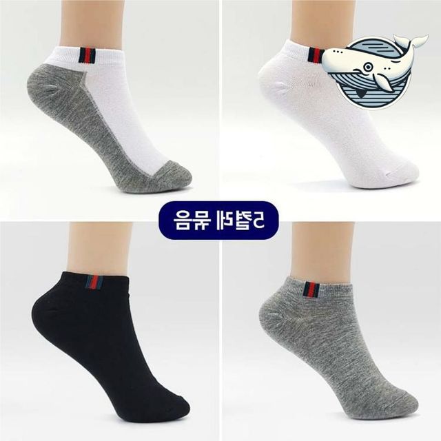 여자 편안한 5켤레 데일리 운동화