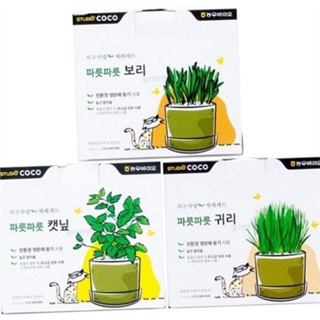 고양이 캣그라스 씨앗, 귀리 보리 재배용 반려묘 간식 키트