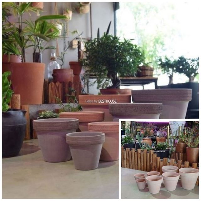 바소 표준형 17x15cm 홈가드닝 가드닝용품 정원용품 식물키우기