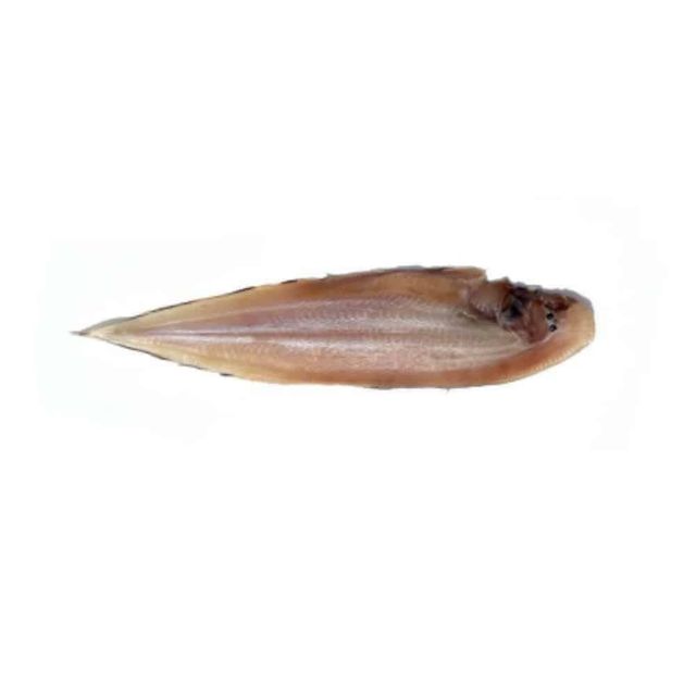 반건조 박대 5미 중 마른생선 건조박대 생선반건조