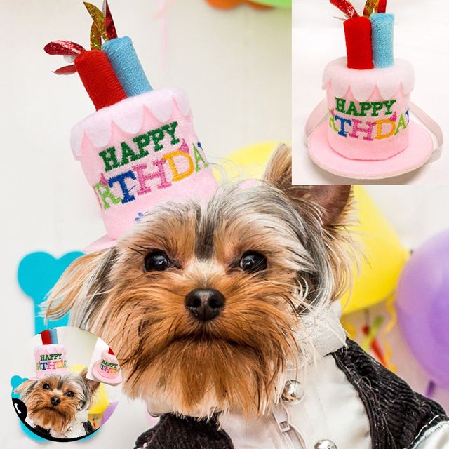 반려견케이프 강아지패션아이템 펫 이벤트 생일 생일초 핑크 머리띠 소형