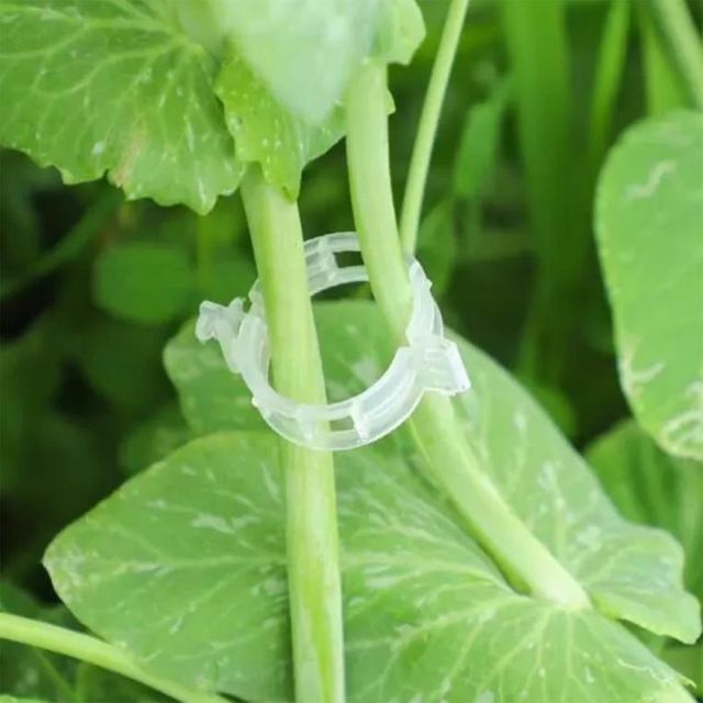 식물 재배 오이 토마토 고정클립 타이 10P