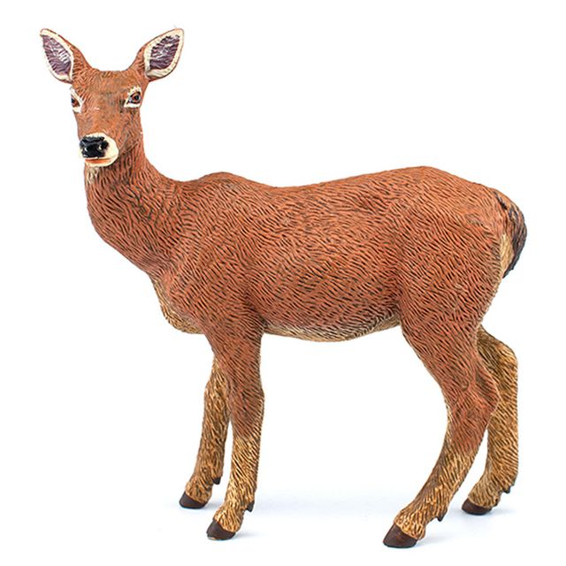 암사슴 동물관찰완구 유치원교구