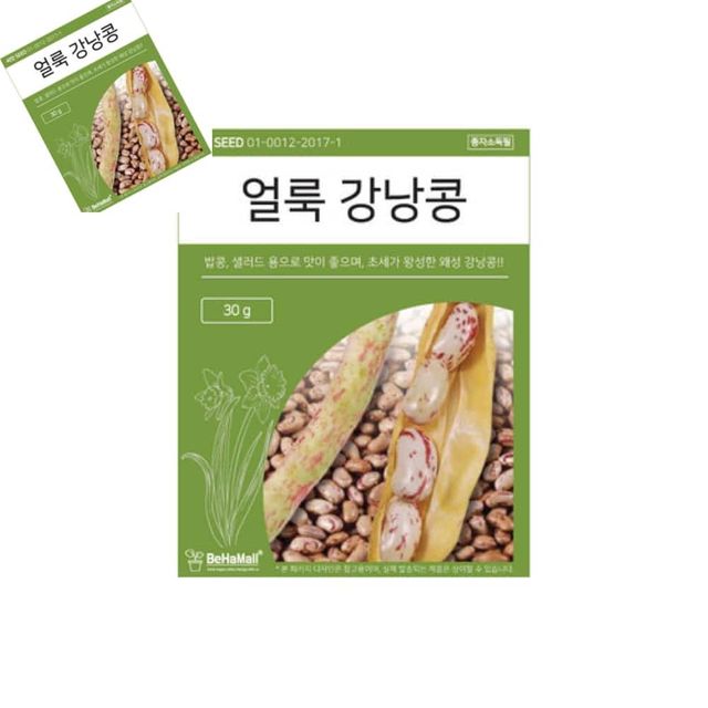 텃밭 채소 씨앗 얼룩 강낭콩 강낭콩씨앗 강낭콩종자 강낭콩키우기 식용씨앗