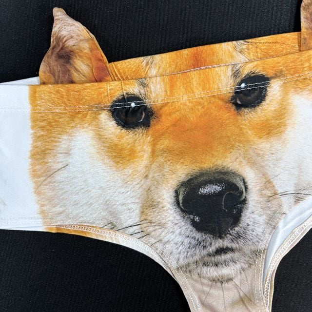 물끄럼 시바견 웃긴 팬티 킹받는 속옷 쓸데없는 쓸모없는 웃긴 선물 신박한 이벤트 소품 인싸