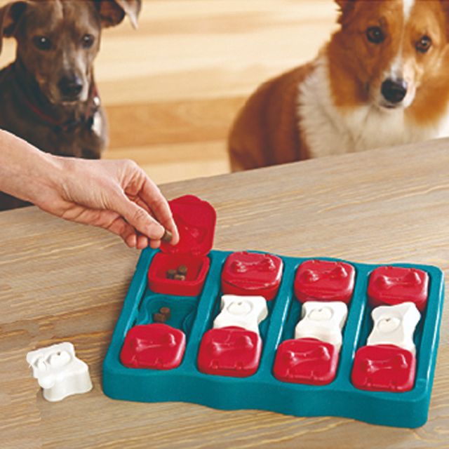 강아지 먹이 퍼즐 브릭 레벨2 1P 노즈워크 두뇌 개발