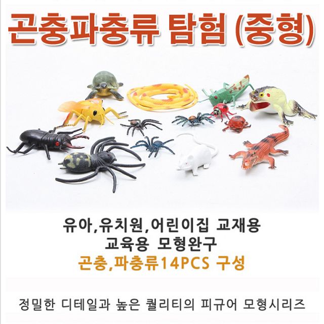 곤충 파충류 과학 중형 피규어 교육 모형완구 교구