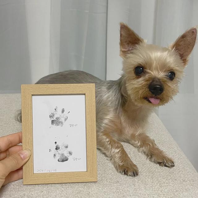 강아지 발도장 액자 반려견 발자국 셀프 스탬프