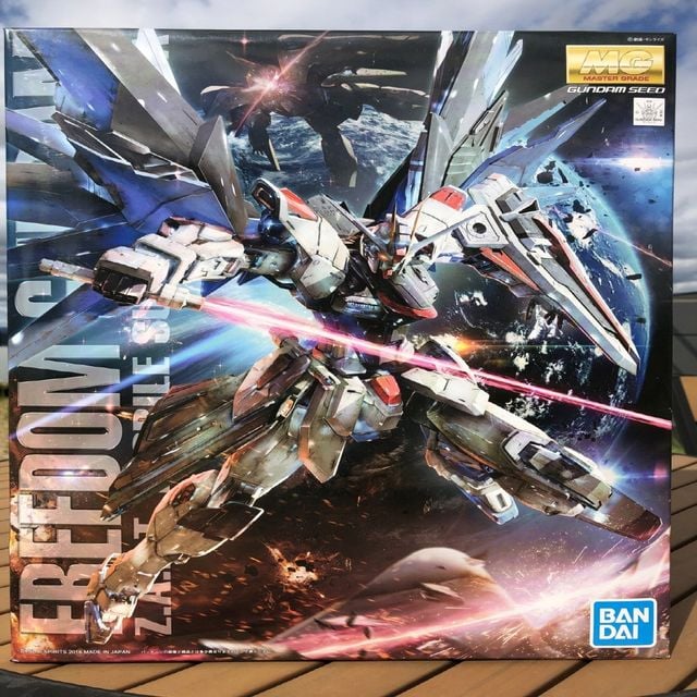 WL 완성품 MG 1of100 Freedom 프리덤 건담 ZAFT SEED시드