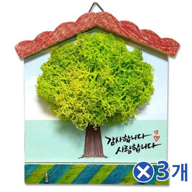 스칸디아모스 감사액자 DIY 세트 - 색상랜덤 3개로 만드는 감성 인테리어