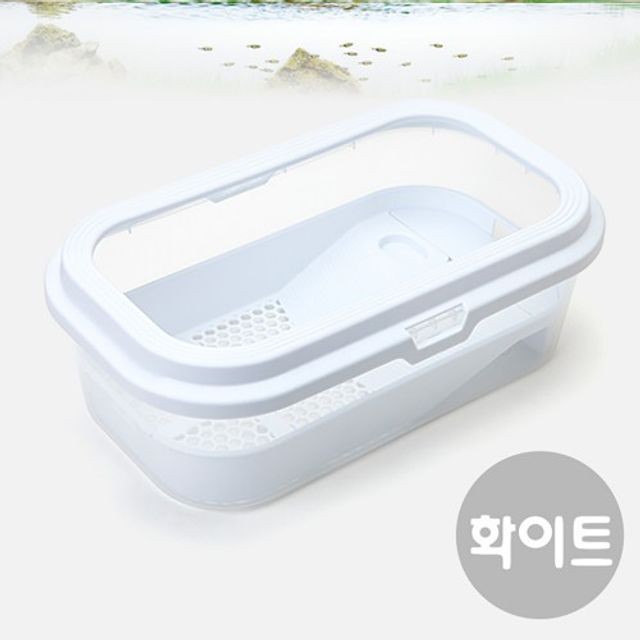 오픈형 거북이 터틀 사육장 어항 L (화이트) 수족관