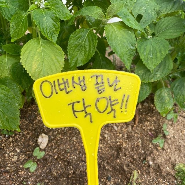 화단 화분 일자형 식물 이름표 팻말 27cm