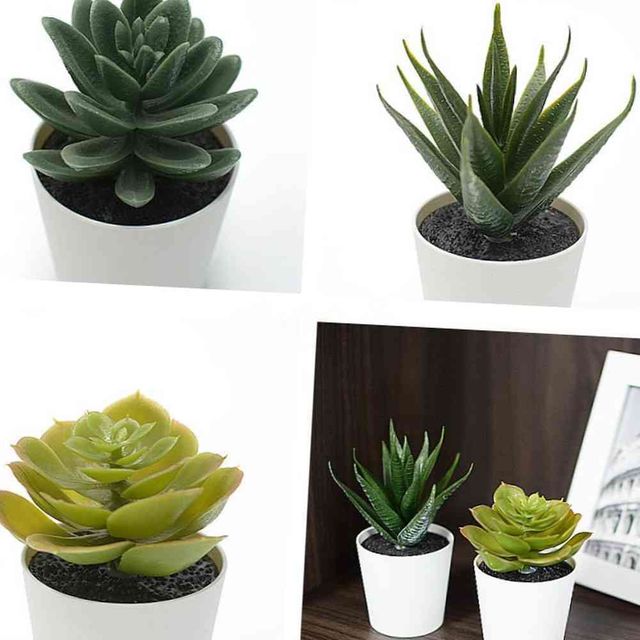식물 화분 6cm 3P 플라스틱화분