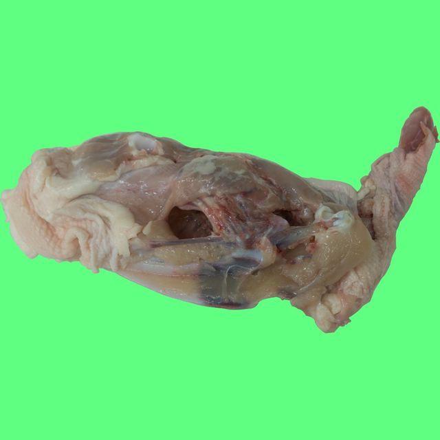 닭잔골15kg 포장 닭육수용