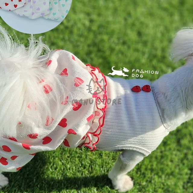 애견의류 강아지여름바지 소형견옷