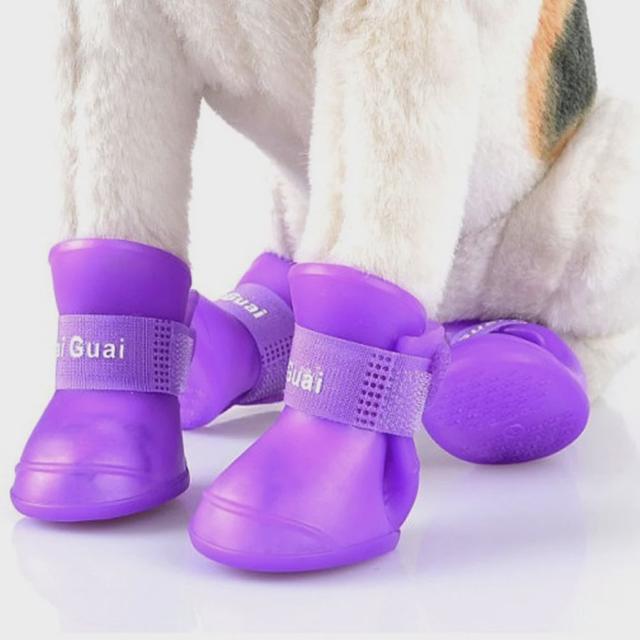 강아지 신발 라텍스 부츠 애견 산책 슈즈 댕댕이 장화
