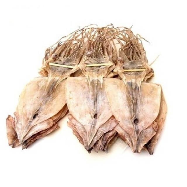동해오징어 1.7kg 건조 20마리 오징어 건오징어 건조
