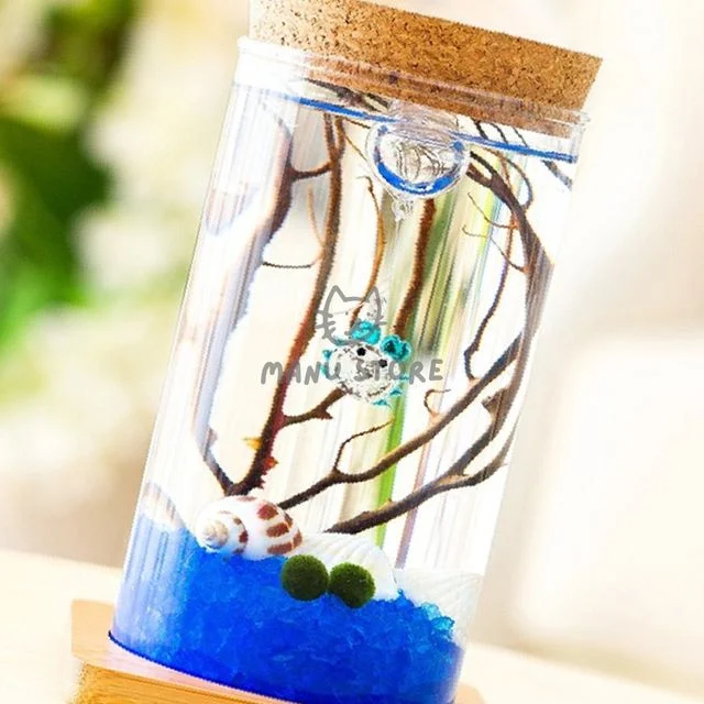 어항꾸미기 생일선물 마리모 키우기 LED 유리병 6.5x12.5cm