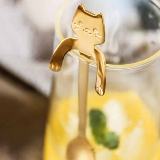 고양이 티 스푼 11 아이스크림숟가락 티스푼선물세트