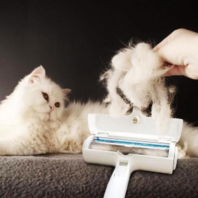 반영구 반려동물 털 제거 돌돌이 강아지 고양이 브러쉬