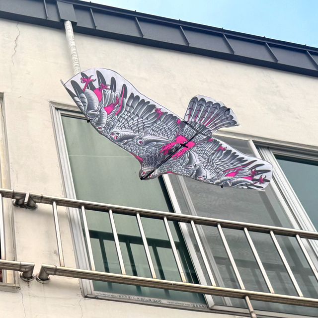 연날리기 새쫓는 독수리연 110cm