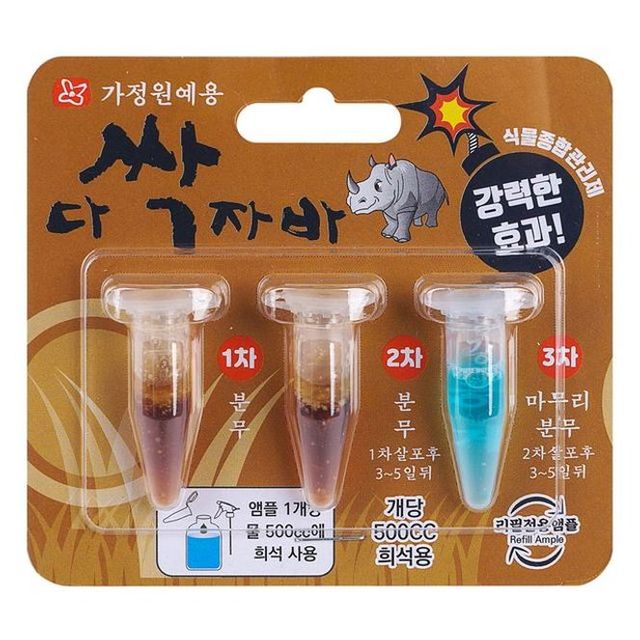 다 싹자바
