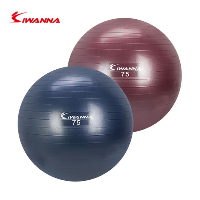 홈트 안티버스트 짐볼 75cm 1P 전신운동 스트레칭