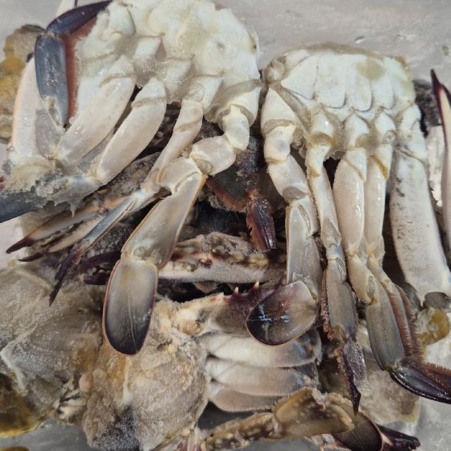 혜명몰 국내산 냉동 절단 꽃게 750g 양념게장 꽃게찜 암꽃게 수꽃게 급랭꽃게