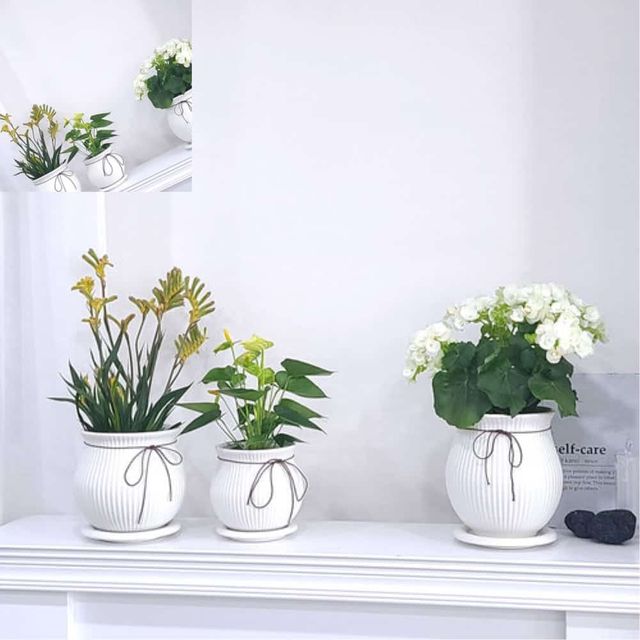 도기 화분 리본단지 화이트무광 D17x18cm 볼 도자기화분 실내화분 디자인화분 인테리어화분