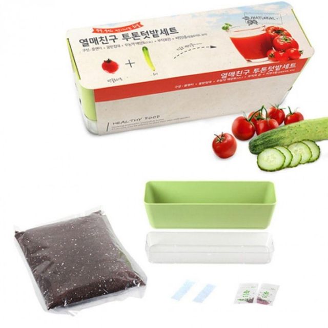 플랜터 세트 오이 방울토마토 씨앗 배양토 구성