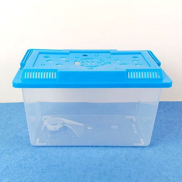 어항 대 곤충채집 22x14X12