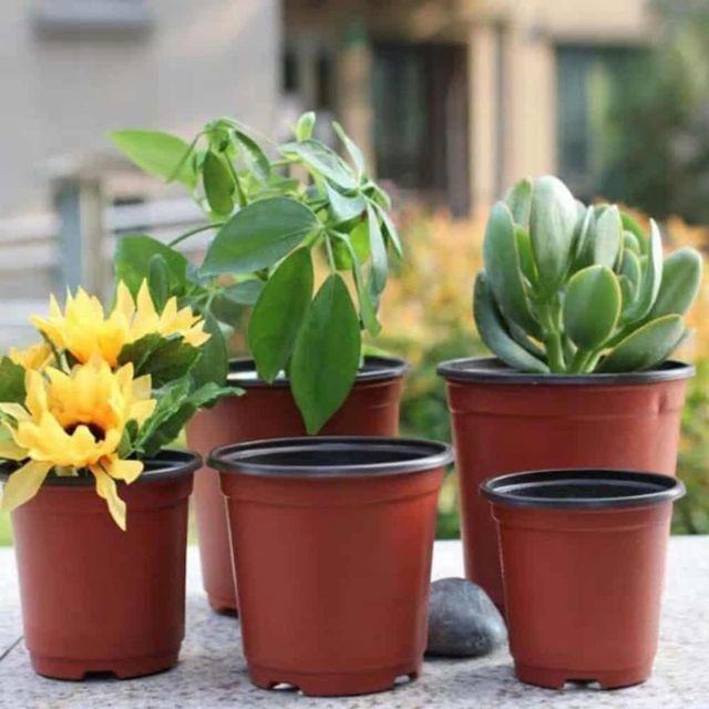 포트 화분 15.5cm 귀여운화분 플라스틱모종화분 베란다화분 가드닝용품 인테리어화분