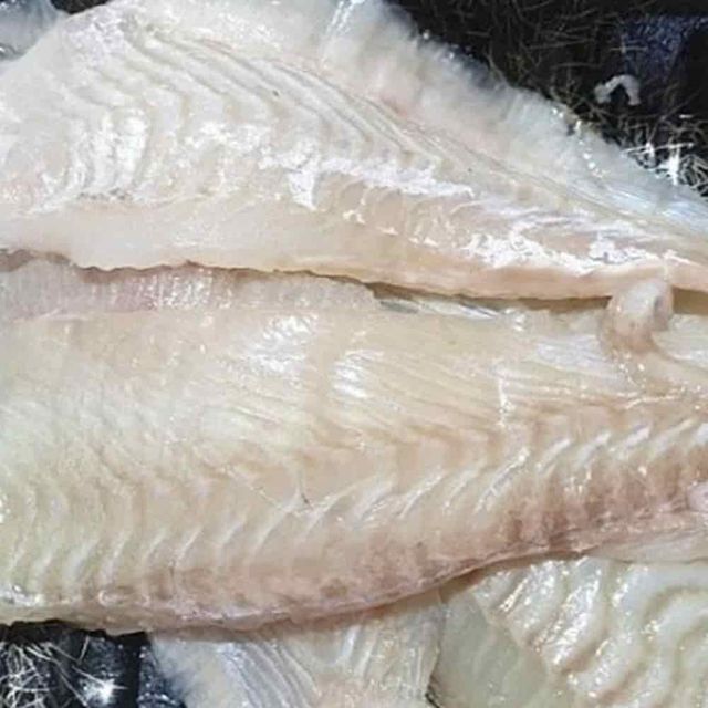 광어필렛 200g 광어사시미 물회재료 숙성사시미 광어회