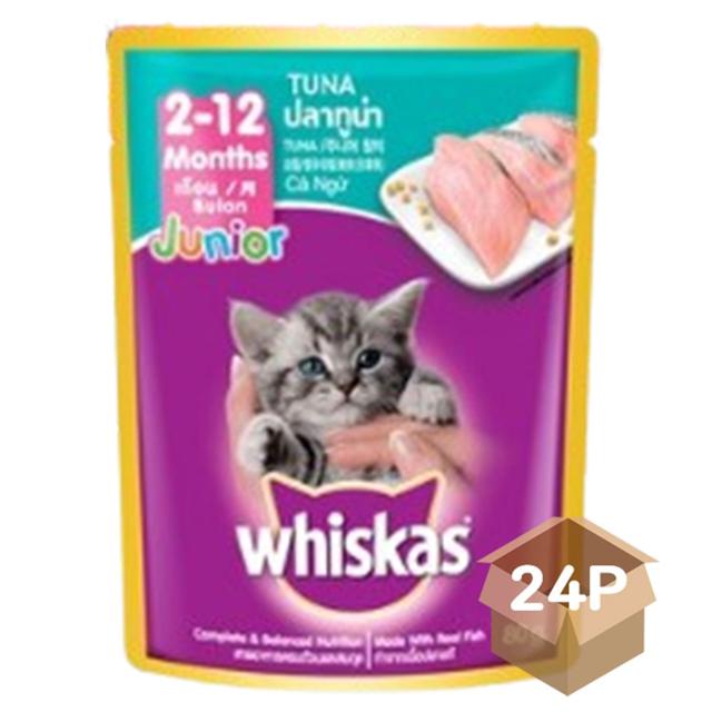 고양이 습식 사료 주니어 참치 파우치 80g 24팩