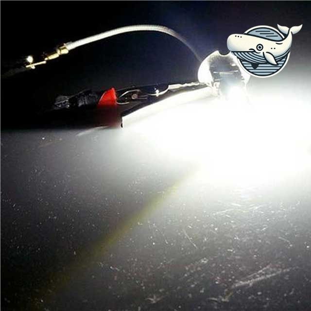 전조등 교체용 LED 안개등 차량용 고휘도