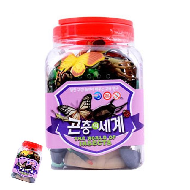 곤충탐구키트 곤충탐험놀이세트 곤충학습 곤충의 세계 대
